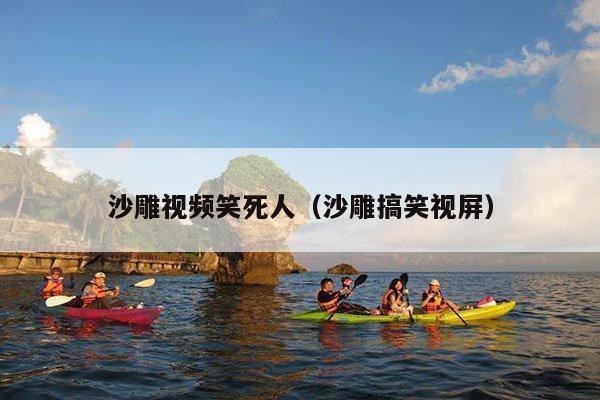 沙雕视频笑死人(沙雕搞笑视屏)