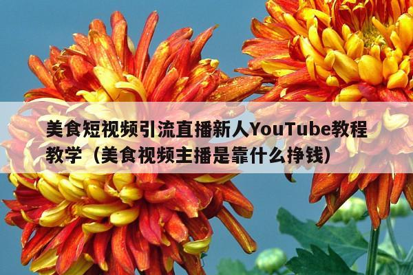 美食短视频引流直播新人YouTube教程教学(美食视频主播是靠什么挣钱)