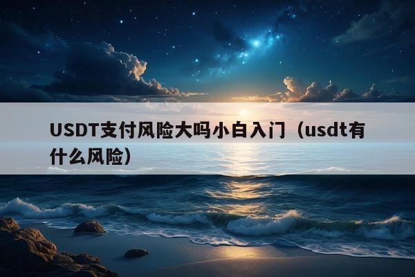 USDT支付风险大吗小白入门(usdt有什么风险)