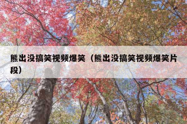 熊出没搞笑视频爆笑(熊出没搞笑视频爆笑片段)