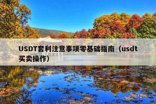 USDT套利注意事项零基础指南(usdt买卖操作)