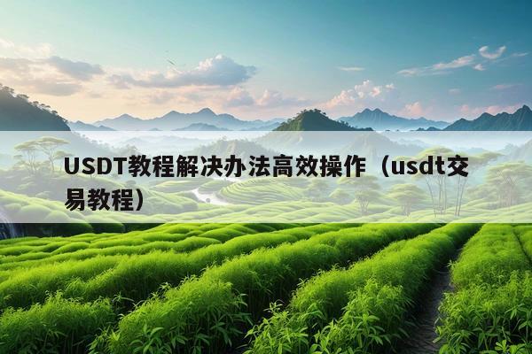 USDT教程解决办法高效操作(usdt交易教程)