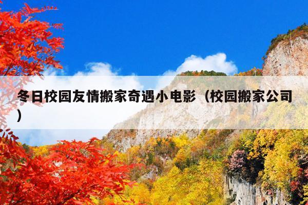 冬日校园友情搬家奇遇小电影(校园搬家公司)