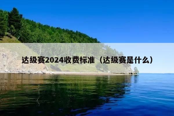 达级赛2024收费标准(达级赛是什么)