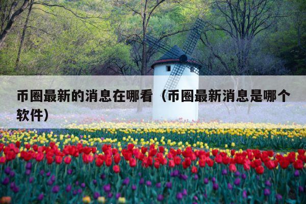 币圈最新的消息在哪看(币圈最新消息是哪个软件)