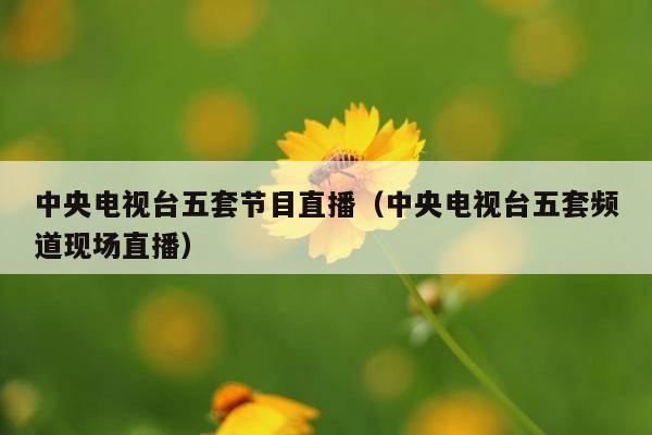 中央电视台五套节目直播(中央电视台五套频道现场直播)