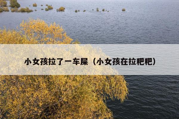 小女孩拉了一车屎(小女孩在拉粑粑)