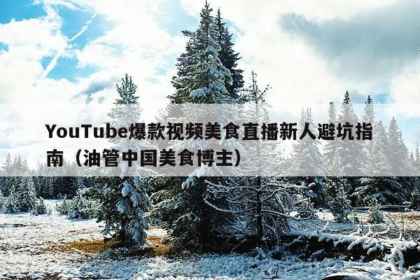 YouTube爆款视频美食直播新人避坑指南(油管中国美食博主)