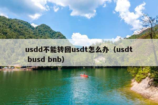 usdd不能转回usdt怎么办(usdt busd bnb)