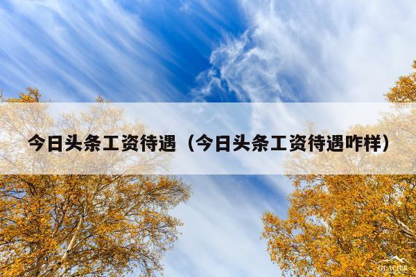 今日头条工资待遇(今日头条工资待遇咋样)