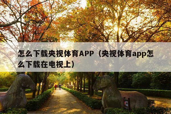 怎么下载央视体育APP(央视体育app怎么下载在电视上)