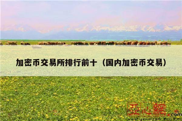加密币交易所排行前十(国内加密币交易)