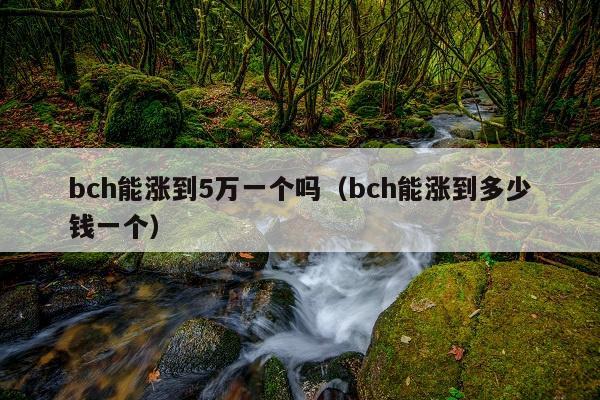 bch能涨到5万一个吗(bch能涨到多少钱一个)