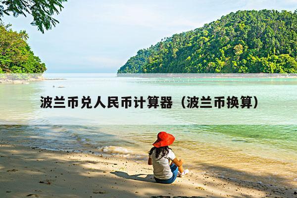 波兰币兑人民币计算器(波兰币换算)