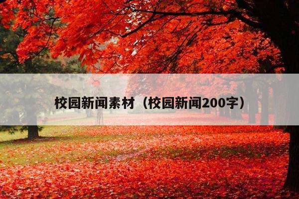 校园新闻素材(校园新闻200字)