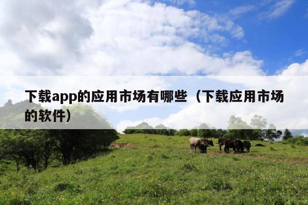 下载app的应用市场有哪些(下载应用市场的软件)