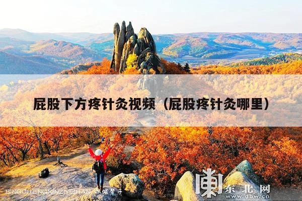 屁股下方疼针灸视频(屁股疼针灸哪里)