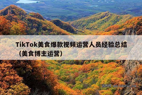 TikTok美食爆款视频运营人员经验总结(美食博主运营)