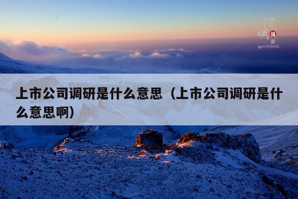 上市公司调研是什么意思(上市公司调研是什么意思啊)