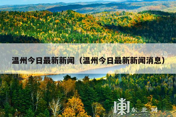 温州今日最新新闻(温州今日最新新闻消息)