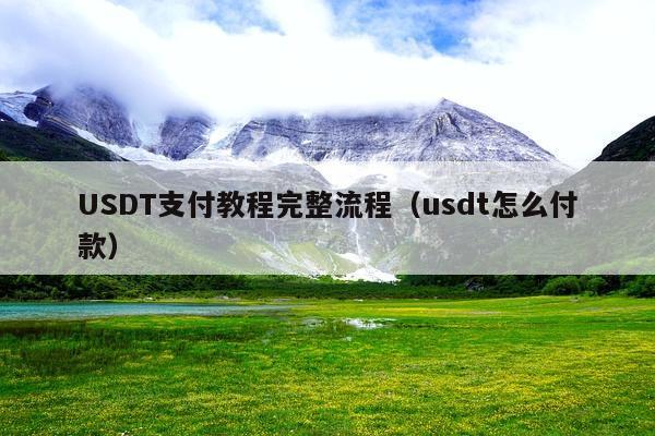 USDT支付教程完整流程(usdt怎么付款)
