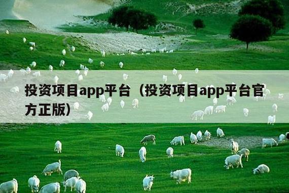 投资项目app平台(投资项目app平台官方正版)