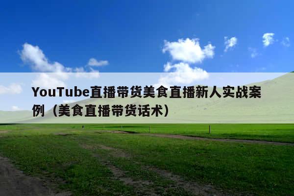 YouTube直播带货美食直播新人实战案例(美食直播带货话术)