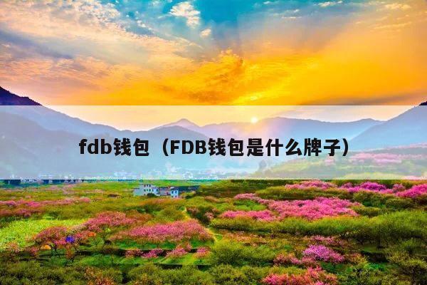 fdb钱包(FDB钱包是什么牌子)