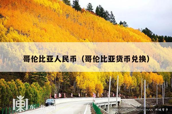 哥伦比亚人民币(哥伦比亚货币兑换)