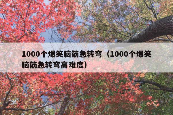 1000个爆笑脑筋急转弯(1000个爆笑脑筋急转弯高难度)