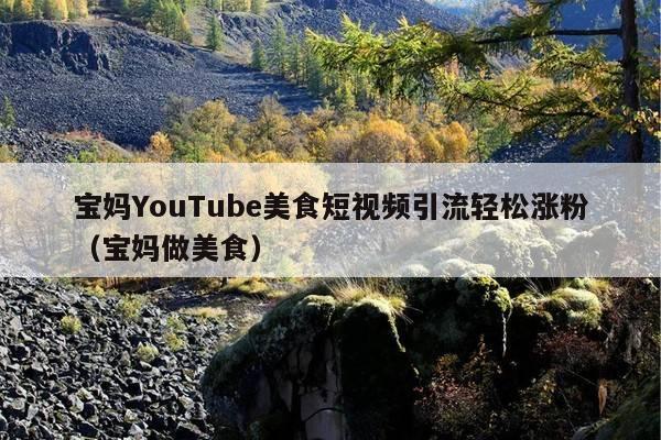 宝妈YouTube美食短视频引流轻松涨粉(宝妈做美食)