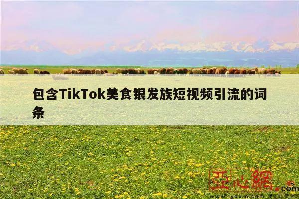 包含TikTok美食银发族短视频引流的词条