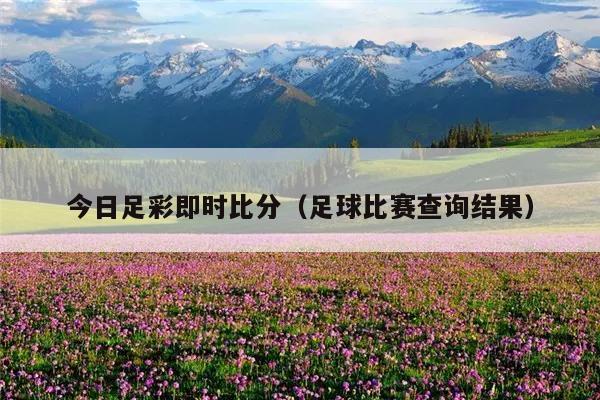 今日足彩即时比分(足球比赛查询结果)