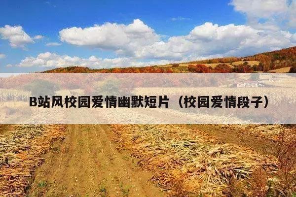 B站风校园爱情幽默短片(校园爱情段子)