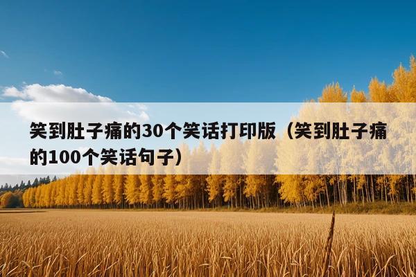 笑到肚子痛的30个笑话打印版(笑到肚子痛的100个笑话句子)