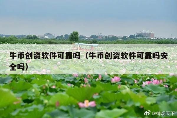 牛币创资软件可靠吗(牛币创资软件可靠吗安全吗)