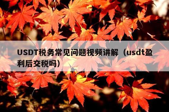 USDT税务常见问题视频讲解(usdt盈利后交税吗)