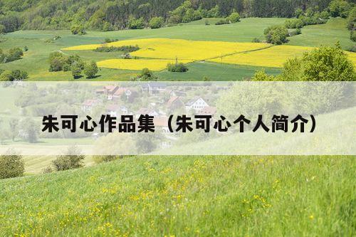 朱可心作品集(朱可心个人简介)