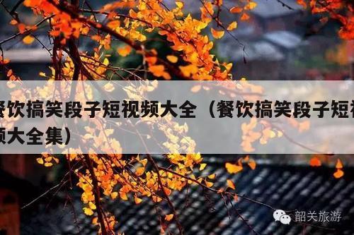 餐饮搞笑段子短视频大全(餐饮搞笑段子短视频大全集)