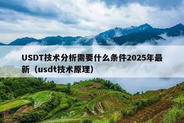 USDT技术分析需要什么条件2025年最新(usdt技术原理)