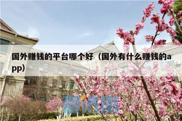 国外赚钱的平台哪个好(国外有什么赚钱的app)