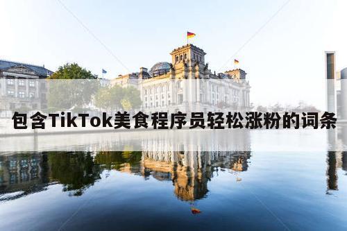 包含TikTok美食程序员轻松涨粉的词条