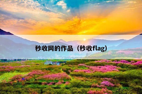 秒收网的作品(秒收flag)
