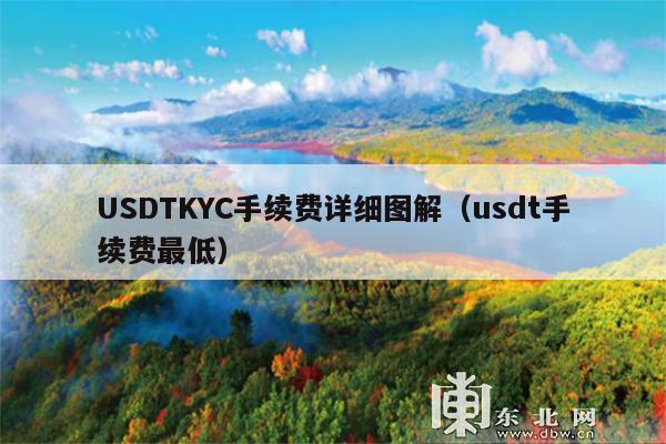 USDTKYC手续费详细图解(usdt手续费最低)