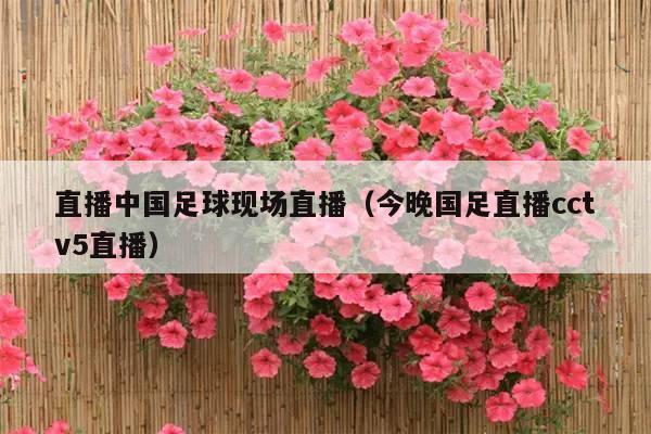 直播中国足球现场直播(今晚国足直播cctv5直播)