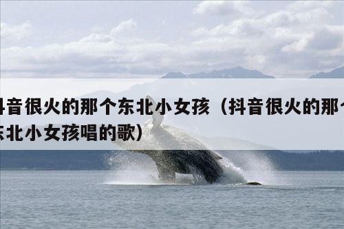 抖音很火的那个东北小女孩(抖音很火的那个东北小女孩唱的歌)