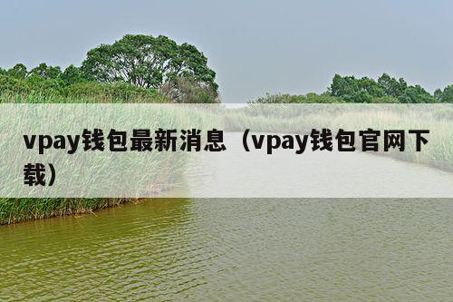 vpay钱包最新消息(vpay钱包官网下载)