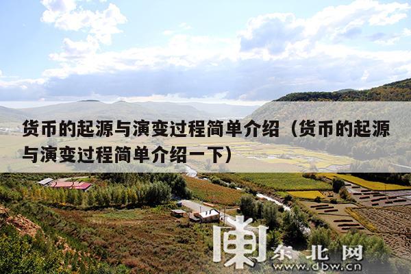 货币的起源与演变过程简单介绍(货币的起源与演变过程简单介绍一下)