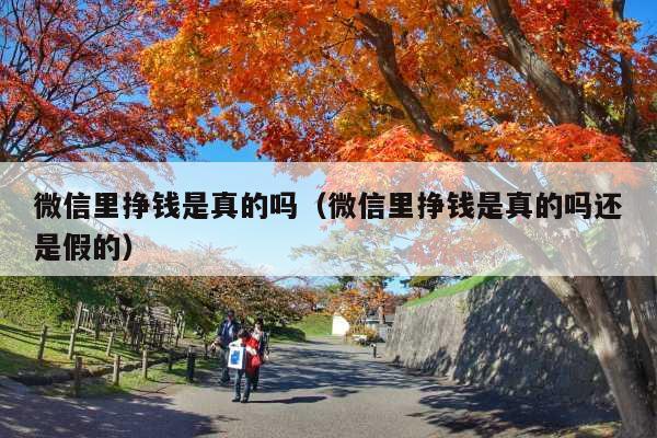 微信里挣钱是真的吗(微信里挣钱是真的吗还是假的)