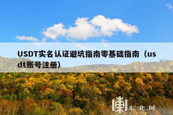 USDT实名认证避坑指南零基础指南(usdt账号注册)